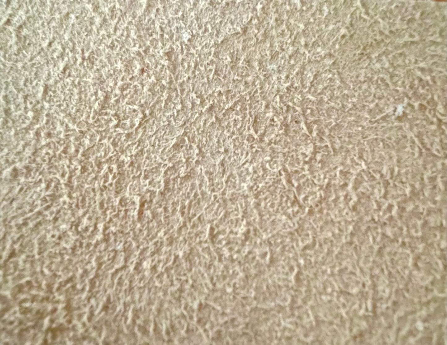 Beige Claro Toalla