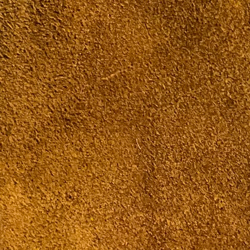 Caqui / Camel